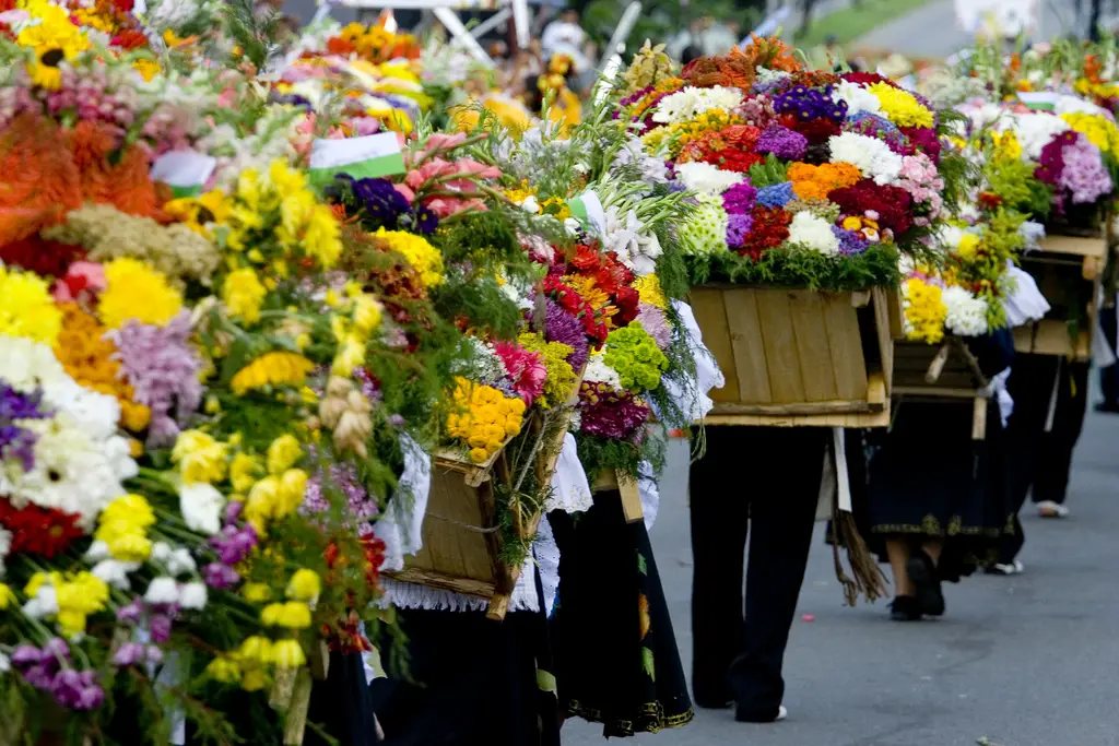 flower festival in medellin