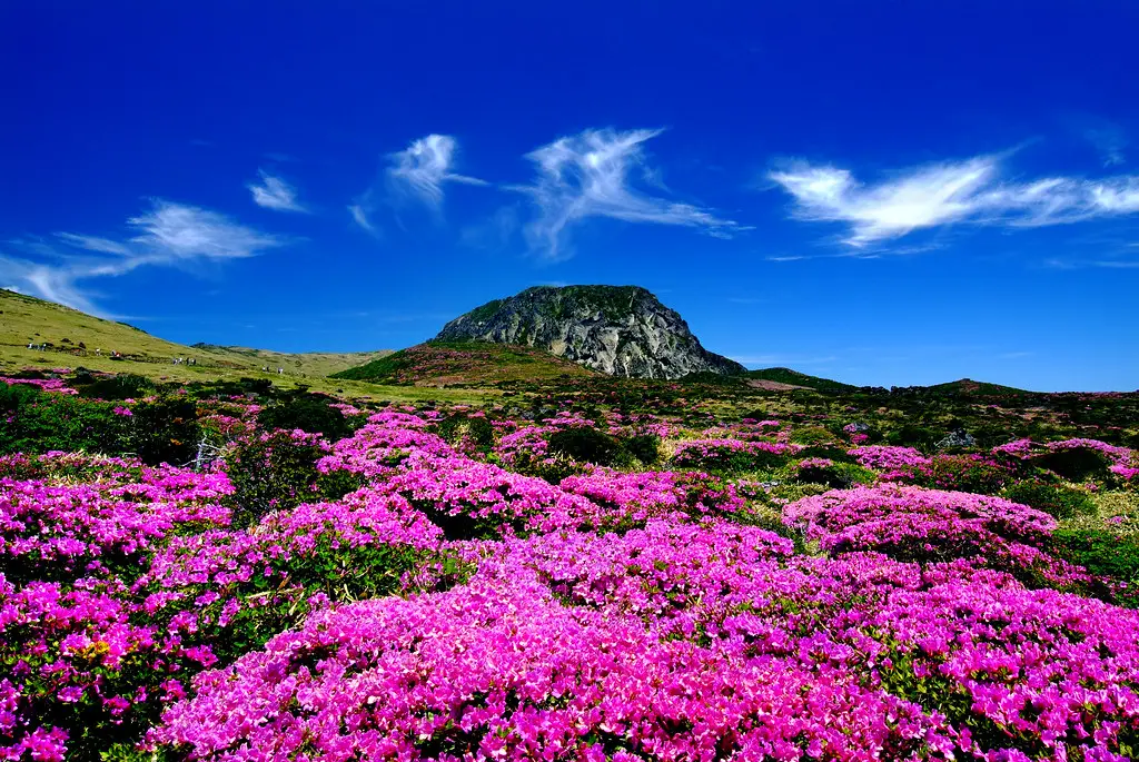 island of Jeju-do